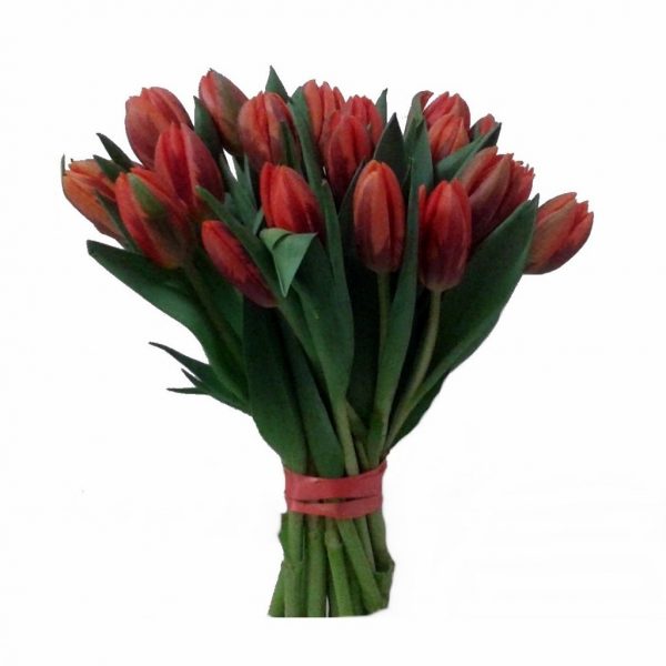 tulipemon-bouquet-de-fleurs