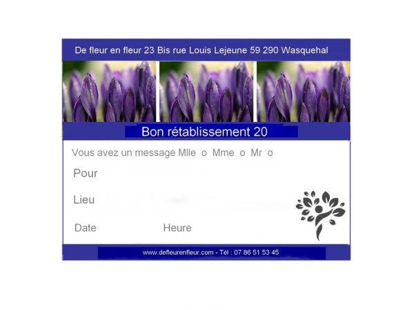 Plante pour week-end de la Toussaint, Bruyèrepour-une-convalescence