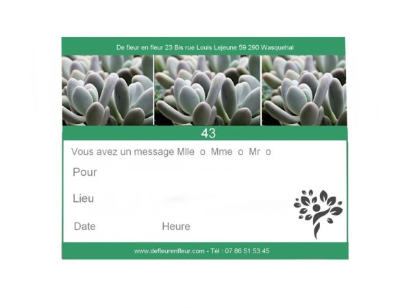 Plante pour week-end de la Toussaint, Bruyèrepour-une-naissance
