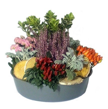 arrangement-plantes